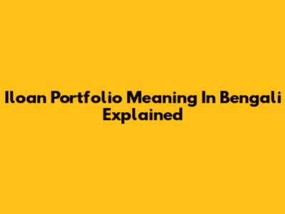 Iloan Portfolio Meaning In Bengali Explained